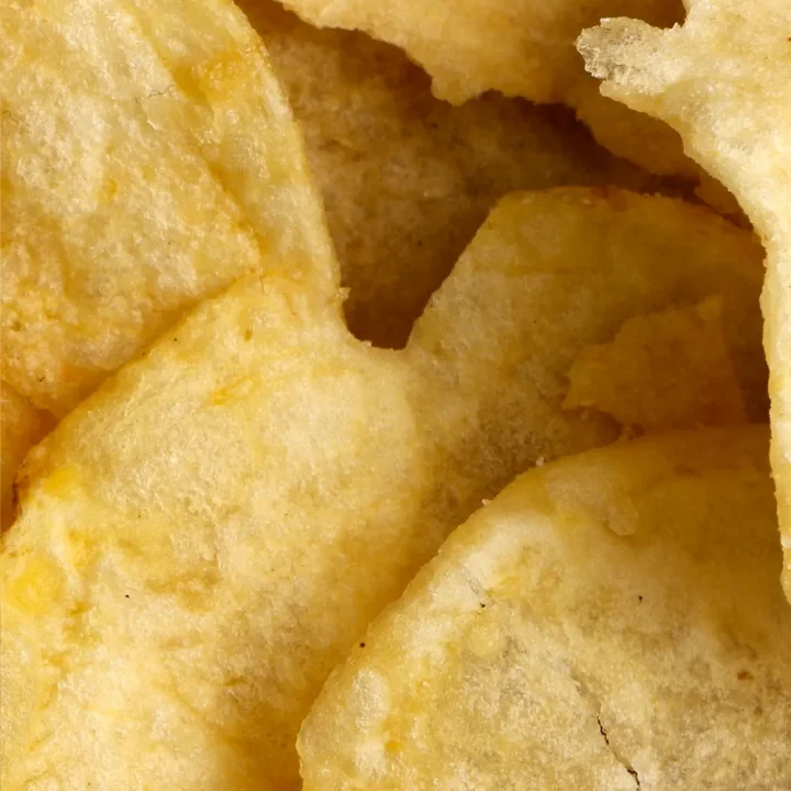 carnivore chips
